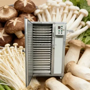 Customized Size Fruit Vegetable Processing Equipment Mango Banana Apple Lemon Fruit Dryer Dehydrator