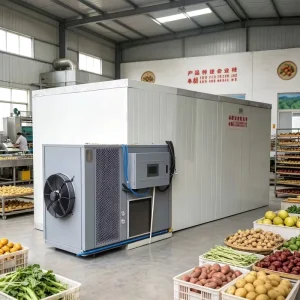 DRYTECH Stainless Steel Energy Saving Vegetable & Lemon Dehydrator Machine with Heat Pump Technology Factory Direct Sales