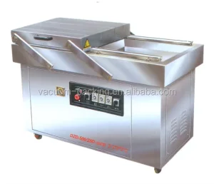 DZD 500 2SD Seafood Vacuum Sealer Vegetable Vacuum Packaging Machine Double Seal