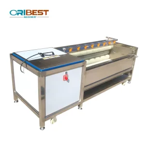 Dates Cleaning Washing Machine for Carrots Onion Cassava Vegetables and Fruits