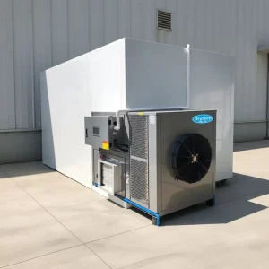 Dehydrator Manufacturer in Guangzhou China Commercial Fruit Dehydrator Machine