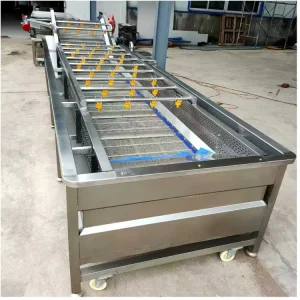Double Filter Structure Inside Vegetable Bubble Washer Separates Sand Leaves and Sundries Efficiently