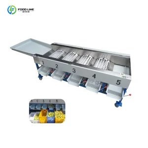Dried Fruit Sorting Machine Fruit Washer and Sorting Machine Fruit Weight Grading Sorting Machine