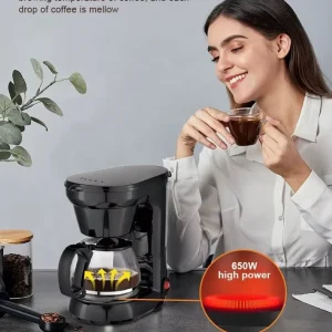 Drip Coffee Maker Household Automatic Small Coffee Machine Milk Tea Pot