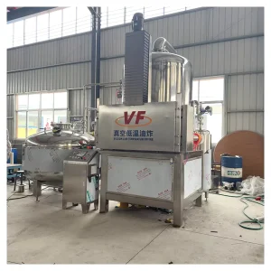 Easy Operation Industrial Fish Shrimp Seafood Vacuum Fryer for Fruit and Vegetables Electrical Potato Chips Fryer Deep Fryer