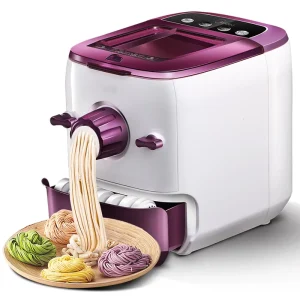 Electric Automatic Noodle Maker Machine 150W Dry Noodle and Pasta Making Machine Portable Household