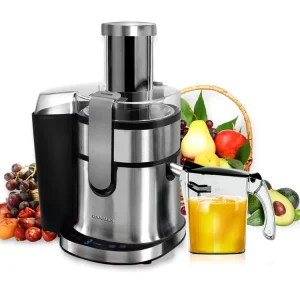 Electric Centrifugal Juicer 800W Stainless Steel High Speed 15000 RPM Multi-Purpose Commercial Household Use Quiet Motor