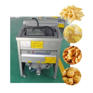 Electric Chicken and Potato Chips Frying Machine Commercial Fully Automatic Deep Fryer with Food Grade 304 Stainless Steel