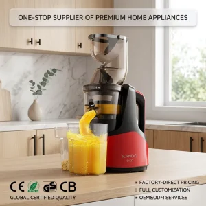 Electric Commercial Automatic Stainless Steel Slow Orange Fruit Juicer Making Machine Cold Press Juice