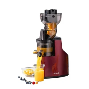 Electric Commercial Juicer Household Stainless Steel Blade Copper Motor Automatic Pulp Ejection Ginger Vegetable Separation