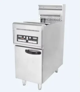 Electric Deep Fryer