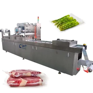 Electric Food Packaging Automatic Stretch Film Vacuum Sealer Packing Machine for Pouch and Case