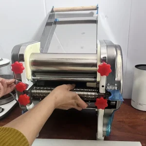 Electric Fresh Noodle Making Machine Automatic Cutter Pasta Noodles for Home