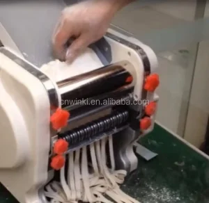 Electric Home Use Noodle Making Machine