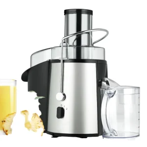 Electric Household Juicer Stainless Steel Masticating Unit Quiet Motor 2L Capacity A+ Energy Efficiency