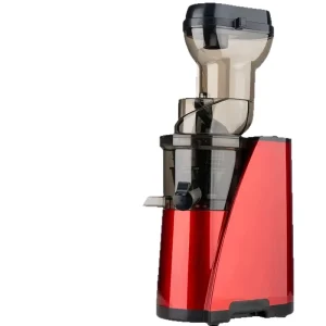Electric Masticating Juicer Blender 1000W Tritan Housing Multifunctional Household & Commercial Use