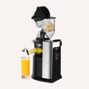 Electric Mini Slow Juicer Home Fruit Juicer