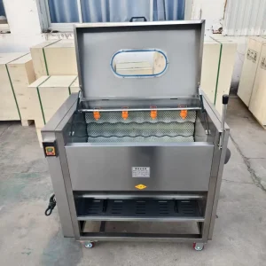 Electric Motorized HD 45 Heavy Duty Multifunctional Commercial Industrial Vegetable Brush Peeler Washer 220V 110V 380V