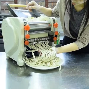 Electric Noodle Pasta Maker Machine Semi Automatic Flour Based Dough Sheeter for Home Bakery Use