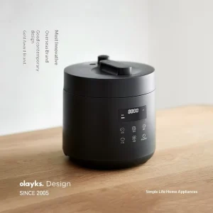Electric Pressure Cooker Household 2 3 People Small Mini Rice Cooker Non Stick Liner Waterless Stewing LCD Display