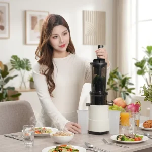 Electric Quiet Operation Juicer 1.2L Large Capacity Stainless Steel Centrifugal Portable Household Fruit