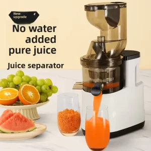 Electric Slow Juicer for Fruits & Vegetables Pulp Separation Household RV & Hotel Use 500W 43 RPM