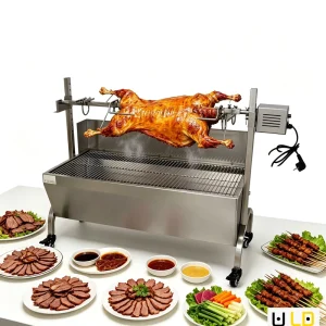 Electric Solid 304 Stainless Steel Heavy Duty Motor Rotisserie Automatic Rotating Cyprus Style Detachable Grill