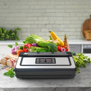 Electric Vacuum Sealer Machine for Home Use Stainless Steel ABS 10L+ Stand Table Top Hand Held Suction Multiple Sealing Modes