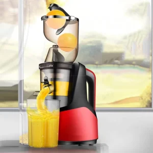 Electromenager Professional Citrus Juicer Horizontal Commercial Slow Juicer Fruits Juicer Blenda