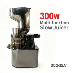 Energy Saving Multipurpose Juicer Electric Extractor Hotel Use Slow Cold Press Fruit Juicer Blender Slow Juicer Machine