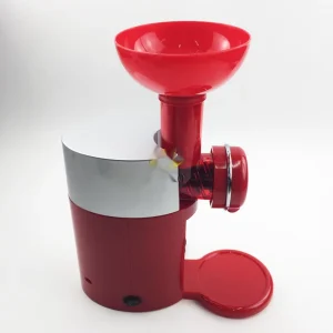 European Standard Household Dessert Maker Self Made Fruit Ice Cream Machine with Automatic Electric Power Source