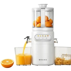 Extra Powerful Motor Juicer Moisture Proof Vertical Slow Juicer With Ice Cream Function Cold Press Slow Juicer