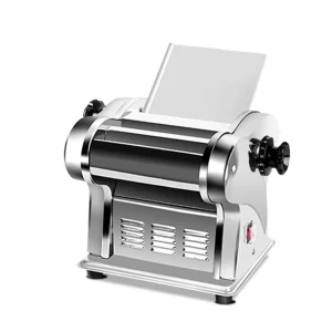 FKM140-2L 2-in-1 Electric Pasta Maker Machine Stainless Steel Spaghetti Roller and Noodle Press