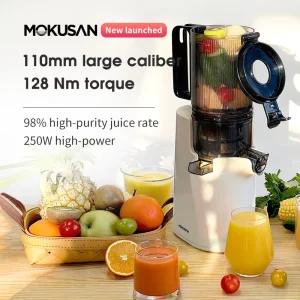 Factory Custom OEM Slow Fresh Juicer Blender and Juicer Fruit Vegetable Juicer Extractor Machine