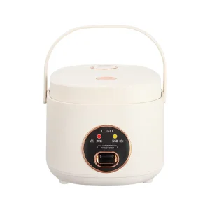 Factory Direct 1.0L 400W Convenient Stainless Steel Inner Pot Rice Cooker for Home and Outdoor Use