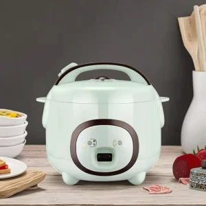 Factory Electric Mini Rice Cooker Microcomputer Timer Control 800W Plastic Non Stick Coating Inner Pot Household 220V
