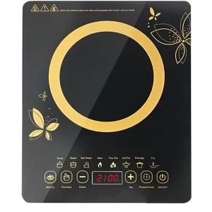 Factory Price Household Kitchen Portable Multifunction Induction Stove Mini Induction Cooker