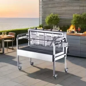 Factory Price Outdoor Family Gathering Gas Bbq Grill Stainless Steel BBQ Rotisserie Charcoal BBQ Grills for Seafood