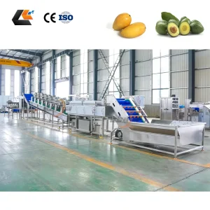 Factory Price Turnip Brush Washing Machine Avocado Cleaner Onion Sorter Passion Fruit Washer Baby Carrot Production Line