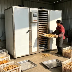 Farm Fruit Vegetable Dehydration Equipment Apple and Banana Drying Machine