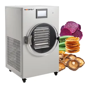 Food Dehydrator Machine with Electric Heating Freeze Dryer Function 6kg Capacity Fruit Drying Core Pump Component Included