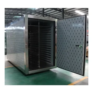 Food Dehydrator Vegetables Fruits Dehydration