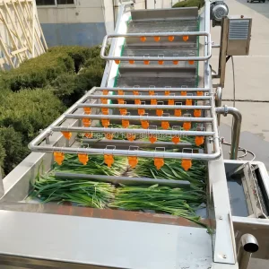 Fruit Bubble Washing Machine Fruit Vegetable Washing Cleaning Machine Egg Bubble Washer
