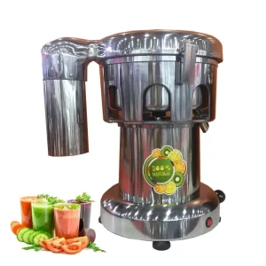 Fruit and Vegetable Juicer Stainless Steel Commercial