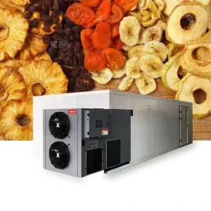 Fruit and Vegetable Meat Large Capacity Hot Drying Equipment Heat Pump Fruit Dryer Dehydrator
