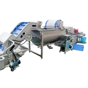 Fruit and Vegetable Processing and Washing Equipment