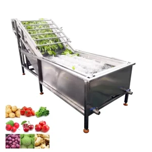 Fruit and Vegetable Washing Cleaning Machine