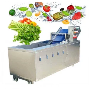 Fruit and Vegetable Washing Equipment Efficient Fruits and Vegetable Washer Machine