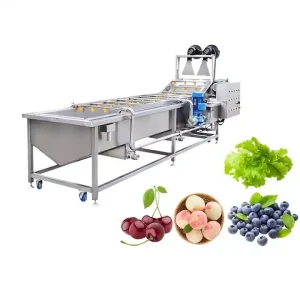 Fruit and Vegetable Washing Machine Commercial Small Fruit Bubble Washing Machine Tomatoes Pepper Bubble Washer