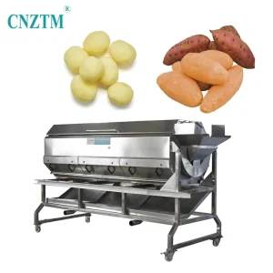 Full Automatic Commercial Washer Peeler for High Volume Vegetable Cleaning SUS 304 Stainless Steel
